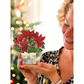 FreshCut Mini Birch Poinsettia Pop-Up Bouquet & Greeting Card - Mellow Monkey