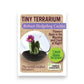 Tiny Terrarium Cacti - Mellow Monkey