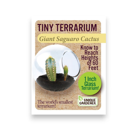Tiny Terrarium Cacti - Mellow Monkey