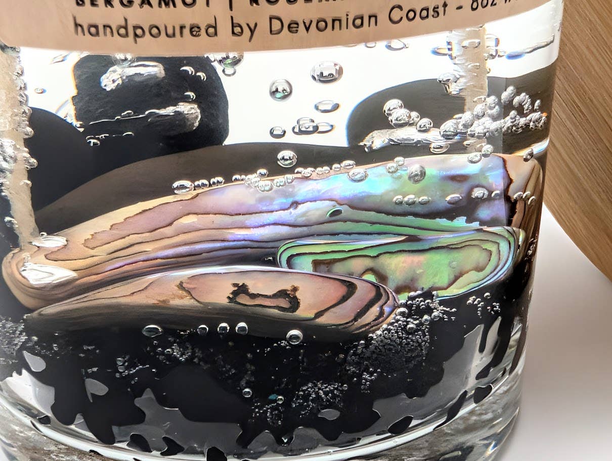 Abalone Shell Treasure - Double Wick Gel Candle - 8-oz - Mellow Monkey