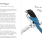 A Dumb Birds Field Guide to the Worst Birds Ever - Paperback - Matt Kracht - Mellow Monkey