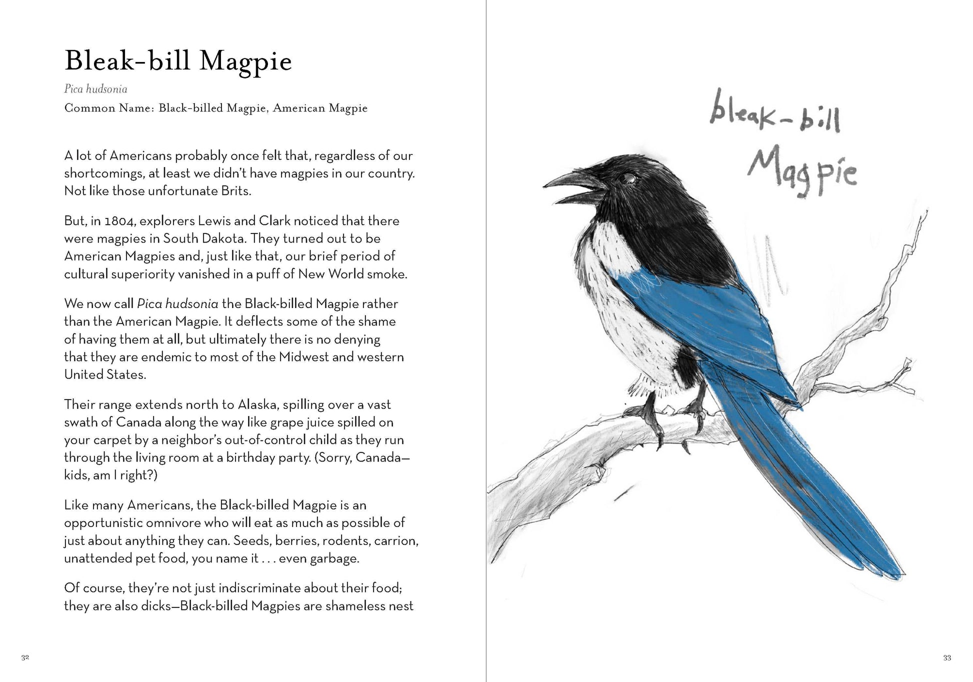 A Dumb Birds Field Guide to the Worst Birds Ever - Paperback - Matt Kracht - Mellow Monkey