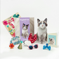 Ragdoll Cat - Freshcut Pop-Up Pet Greeting Cards - Mellow Monkey