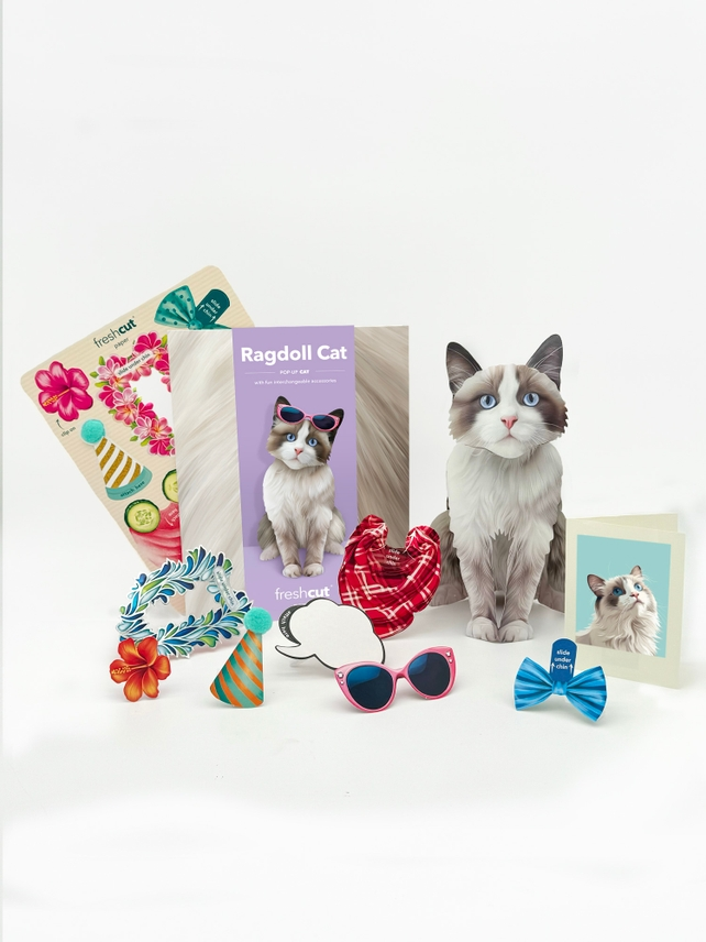 Ragdoll Cat - Freshcut Pop-Up Pet Greeting Cards - Mellow Monkey