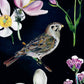 Bird Box - 100 Postcards from 10 Artists - Mellow Monkey