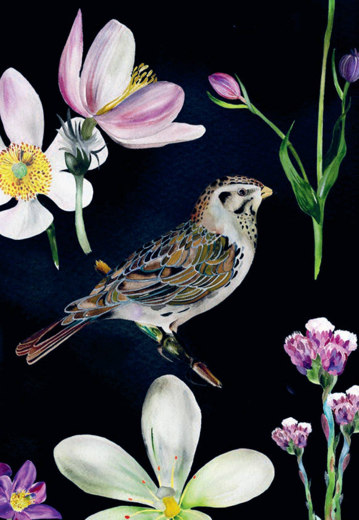 Bird Box - 100 Postcards from 10 Artists - Mellow Monkey