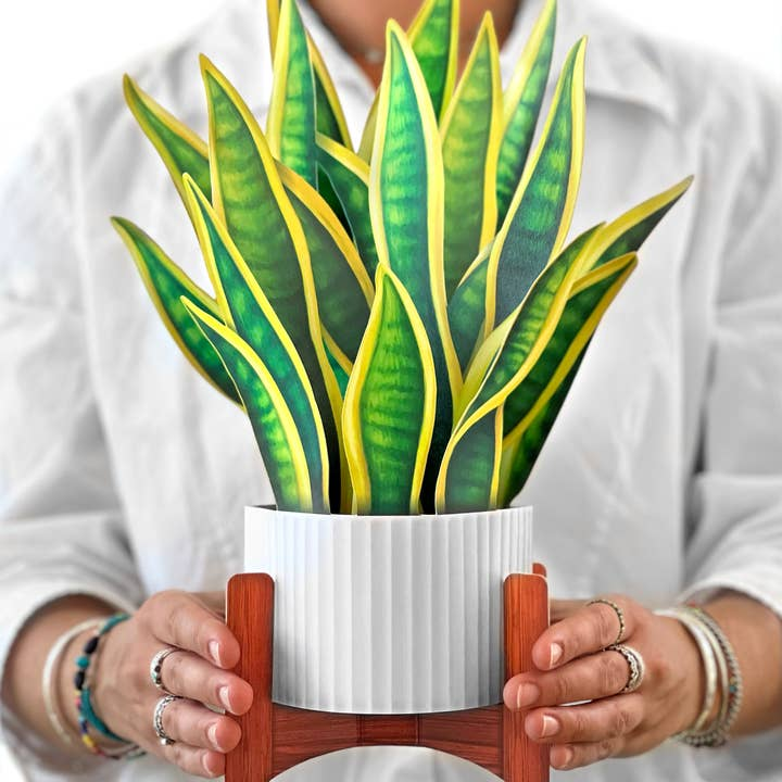 Freshcut Snake Plant Pop-Up Greeting Card - Mellow Monkey