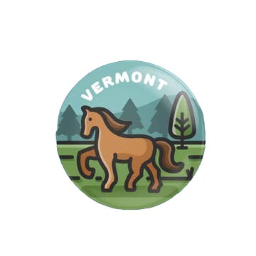 Vermont - Pin Back Button - 1-1/2-in - Mellow Monkey