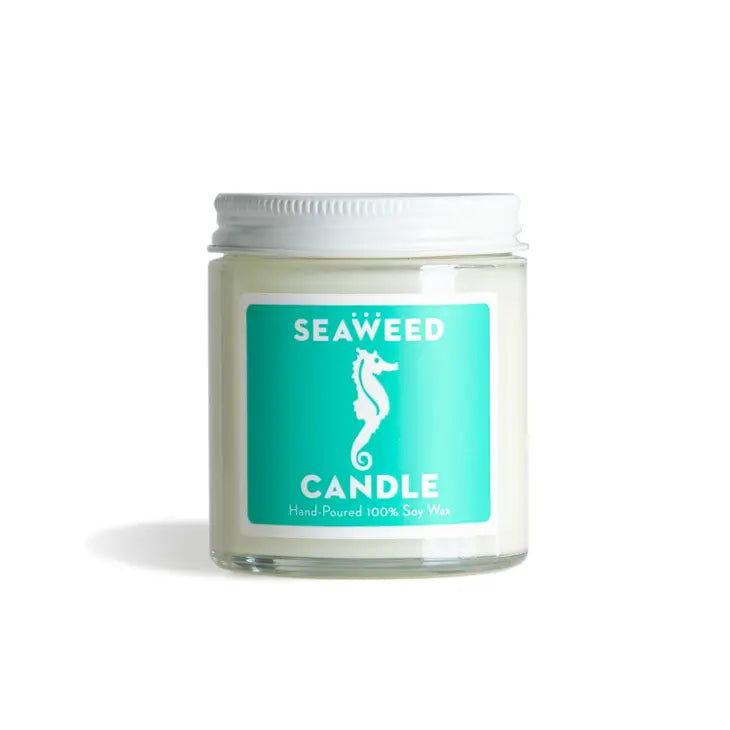 Swedish Dream Seaweed Candle Cutie - 4-oz - Mellow Monkey