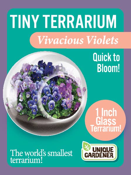 miniature flowering plants for terrariums Tiny Terrarium