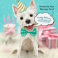 Westie - Freshcut Pop-Up Pet Greeting Cards - Mellow Monkey