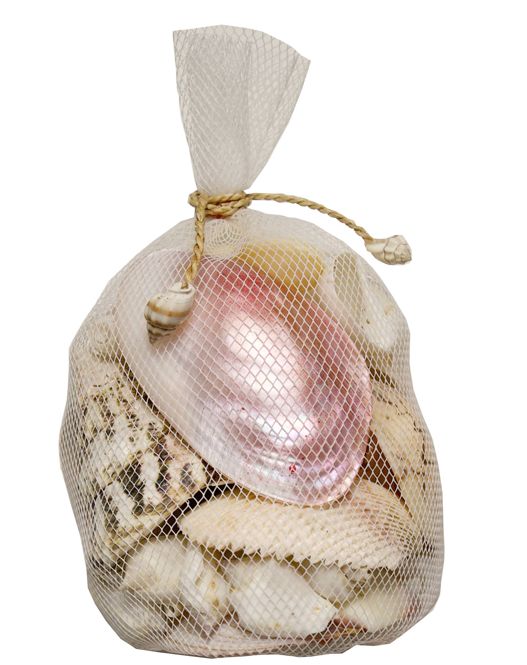 Asst Polished Shells in White Plastic Net - 7-in - Mellow Monkey