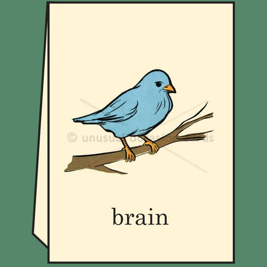 Bird Brain - Greeting Card