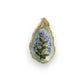 Resin Shell Shaped Magnet With Flora/Fauna Image - 4-in - Mellow Monkey