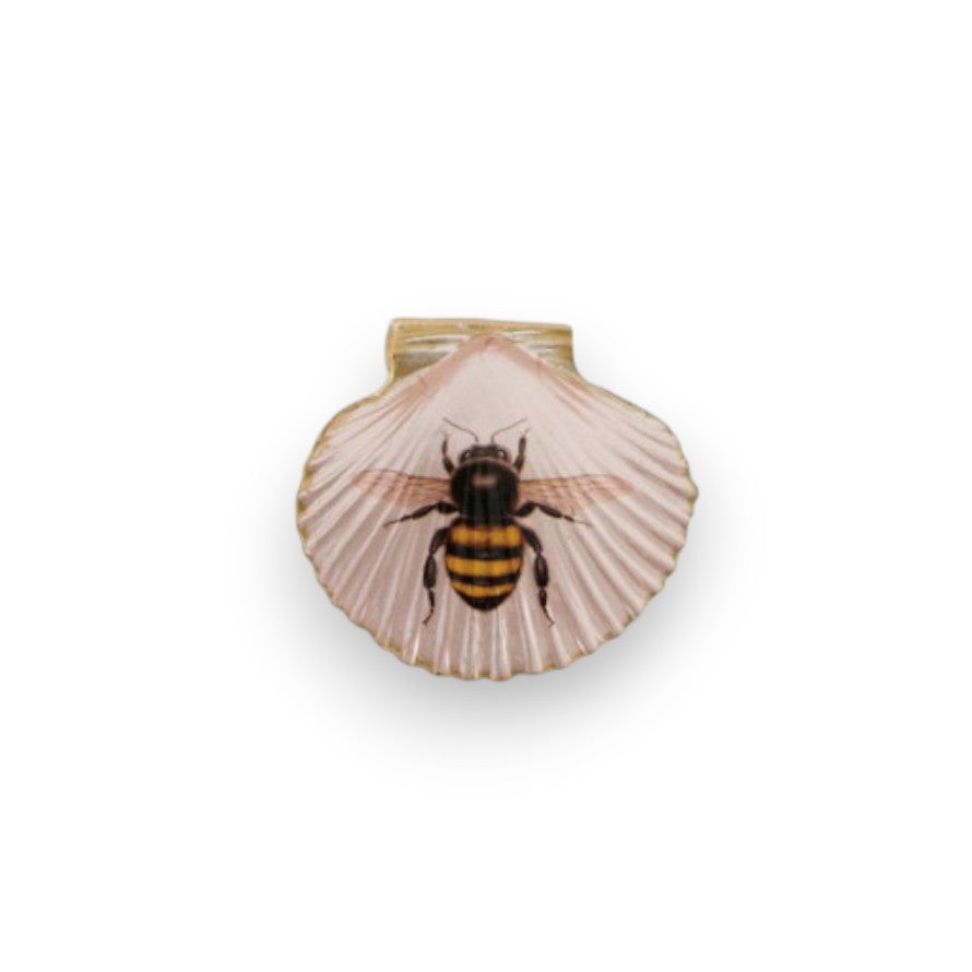 Resin Shell Shaped Magnet With Flora/Fauna Image - 4-in - Mellow Monkey
