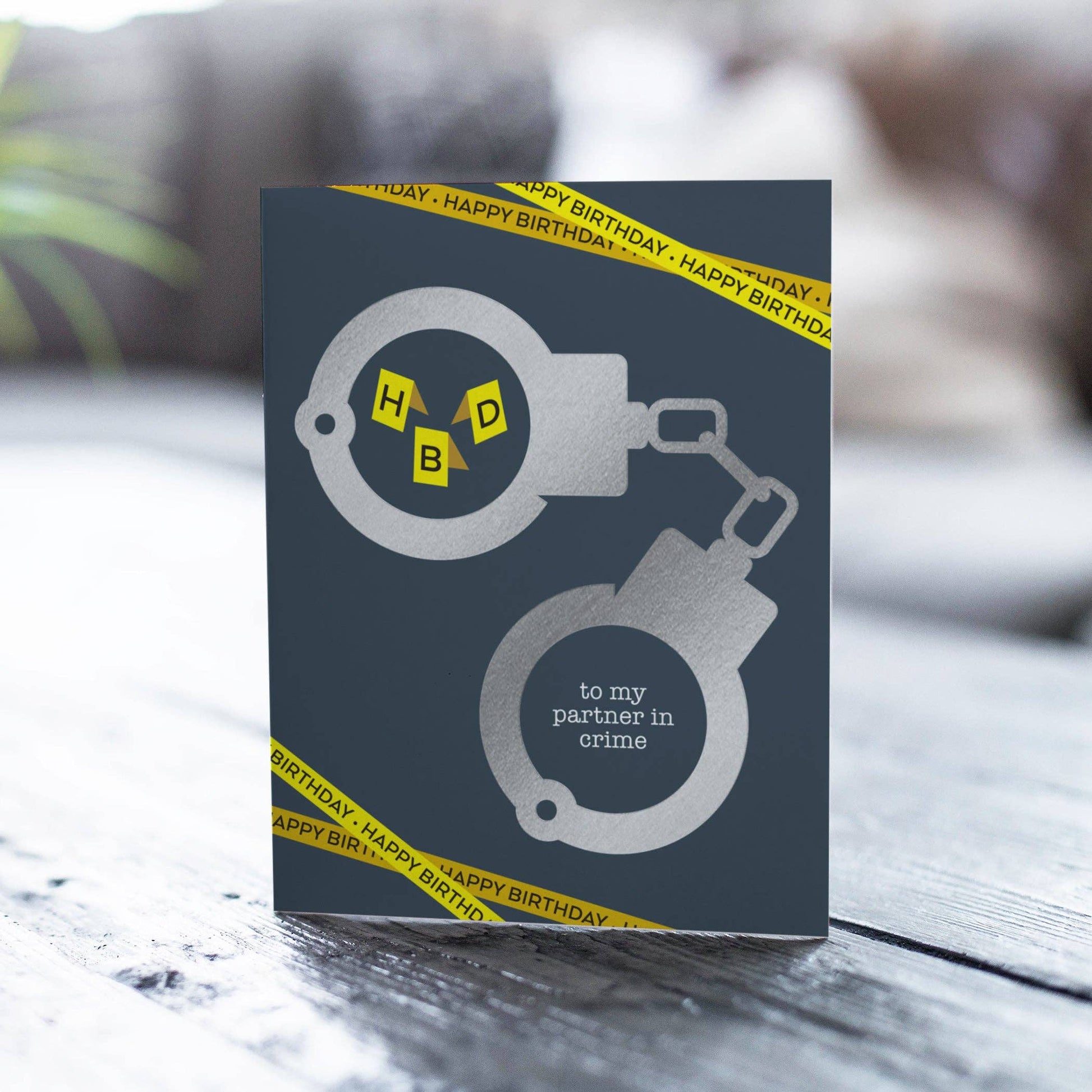 Partner In Crime – Funny Birthday Card - Mellow Monkey