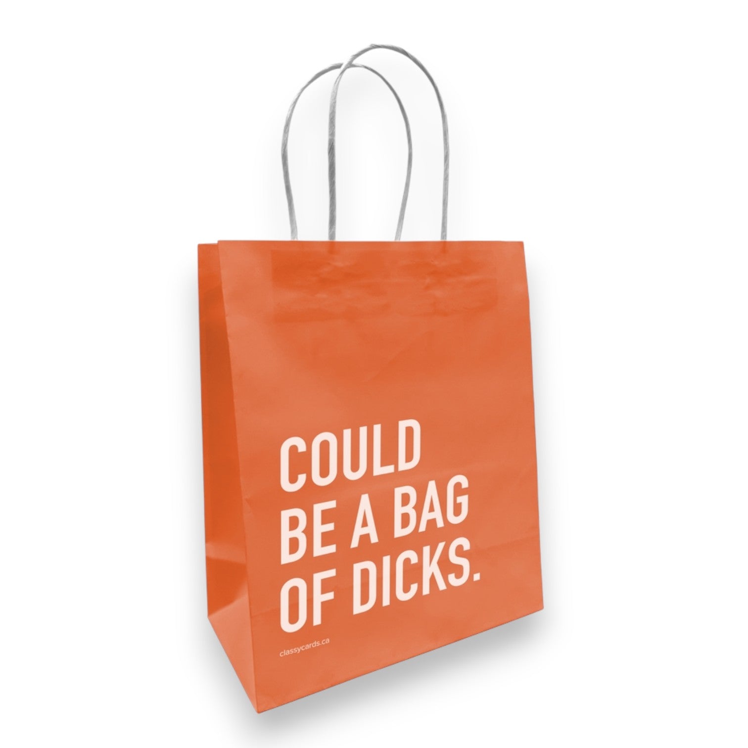 Could Be A Bag Of Dicks - Medium Gift Bag - Mellow Monkey