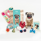 Pug - Freshcut Pop-Up Pet Greeting Cards - Mellow Monkey