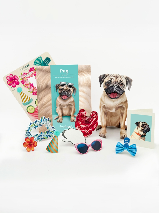 Pug - Freshcut Pop-Up Pet Greeting Cards - Mellow Monkey