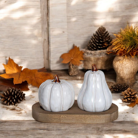 Gourd Salt & Pepper Shakers with Wood Tray - Mellow Monkey