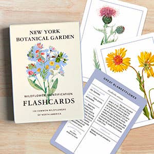 New York Botanical Garden Wildflower ID Flashcards - Mellow Monkey