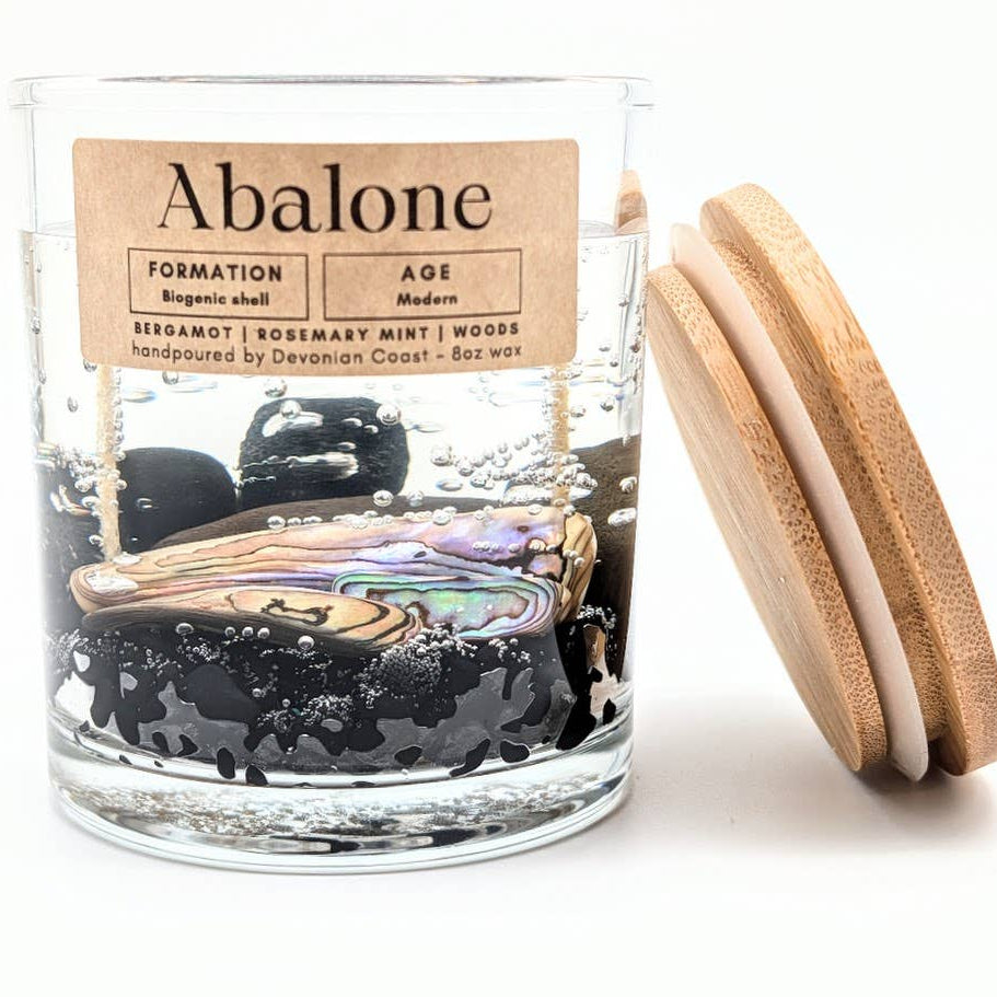 Abalone Shell Treasure - Double Wick Gel Candle - 8-oz - Mellow Monkey