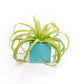 Ceramic Cube Container - Sky Blue - Mellow Monkey