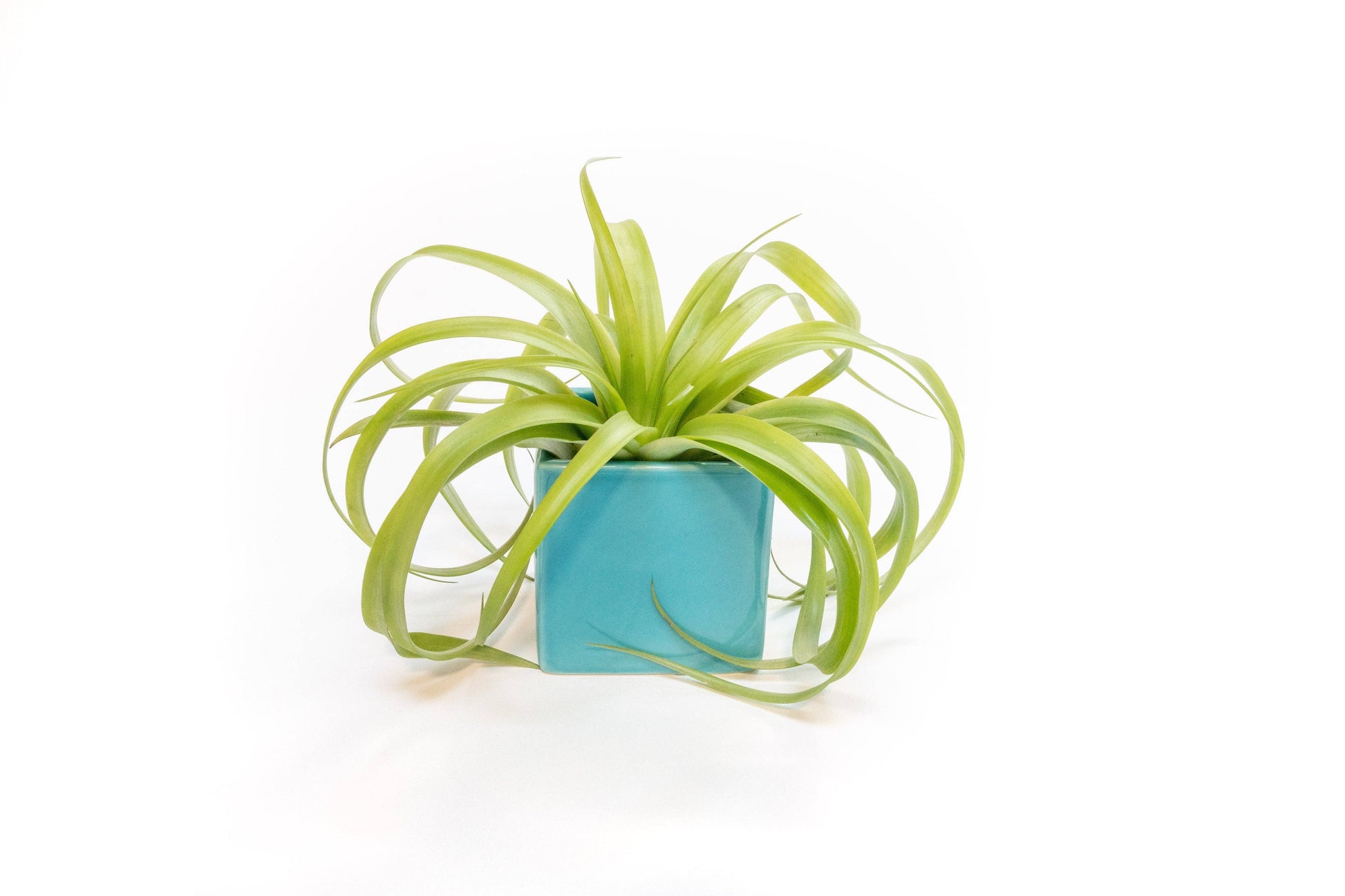 Ceramic Cube Container - Sky Blue - Mellow Monkey