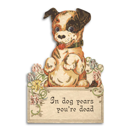 In Dog Years You're Dead - Funny Vintage Style Birthday Card - Mellow Monkey