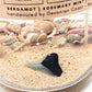 Shark Tooth Fossil Treasure - Double Wick Gel Candle - 8-oz - Mellow Monkey