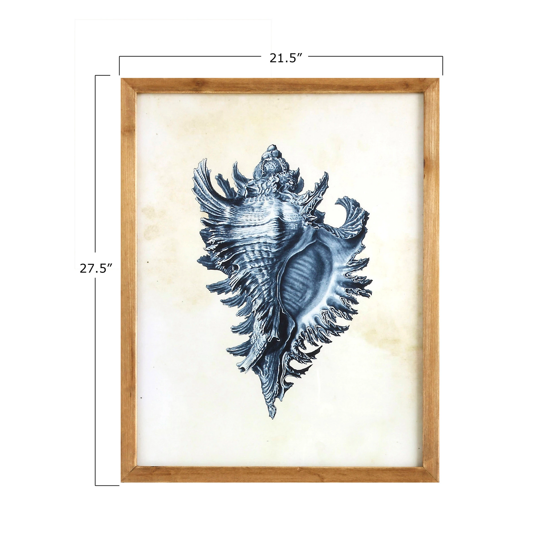 Framed Coral and Shell Wall Hanging - 27-1/2-in - Mellow Monkey