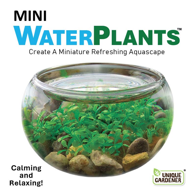 Mini WaterPlants - Mellow Monkey