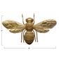 Resin Bee For Shelf or Wall - Gold Finish 9-in - Mellow Monkey