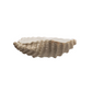 Stoneware Oyster Shell Dish - 4-in - Mellow Monkey