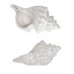 Decorative Stoneware Conch Shell - 10-1/4-in - Mellow Monkey