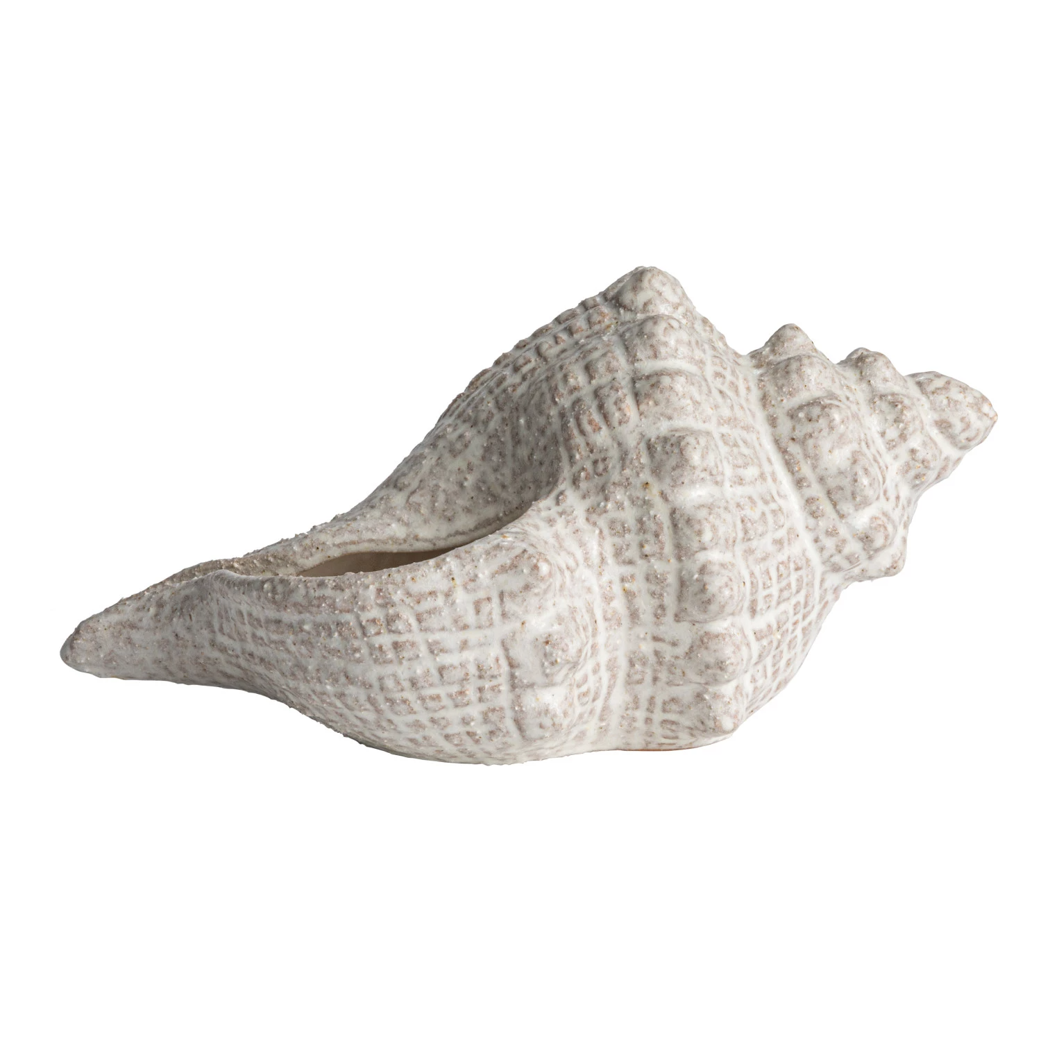 Decorative Stoneware Conch Shell - 10-1/4-in - Mellow Monkey