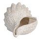 Decorative Stoneware Conch Shell - 10-1/4-in - Mellow Monkey