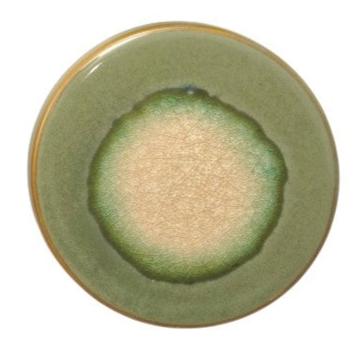 Stoneware Trivet with Reactive Glaze - Mellow Monkey