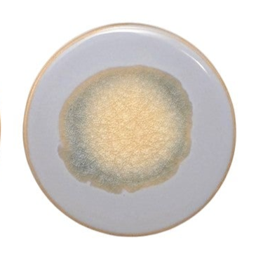 Stoneware Trivet with Reactive Glaze - Mellow Monkey