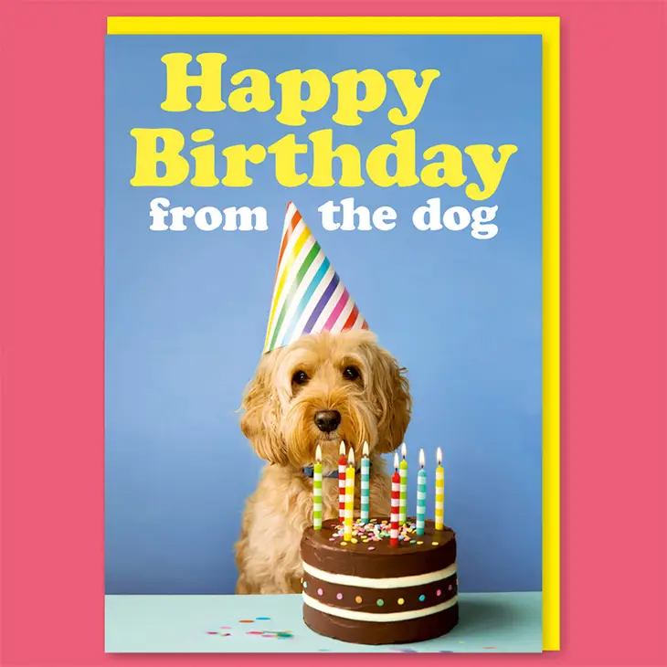 Happy Birthday From The Dog- Birthday Greeting Card - Mellow Monkey