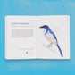 The Field Guide To Dumb Birds Of The Whole Stupid World - Paperback - Matt Kracht