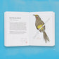 The Field Guide To Dumb Birds Of The Whole Stupid World - Paperback - Matt Kracht - Mellow Monkey