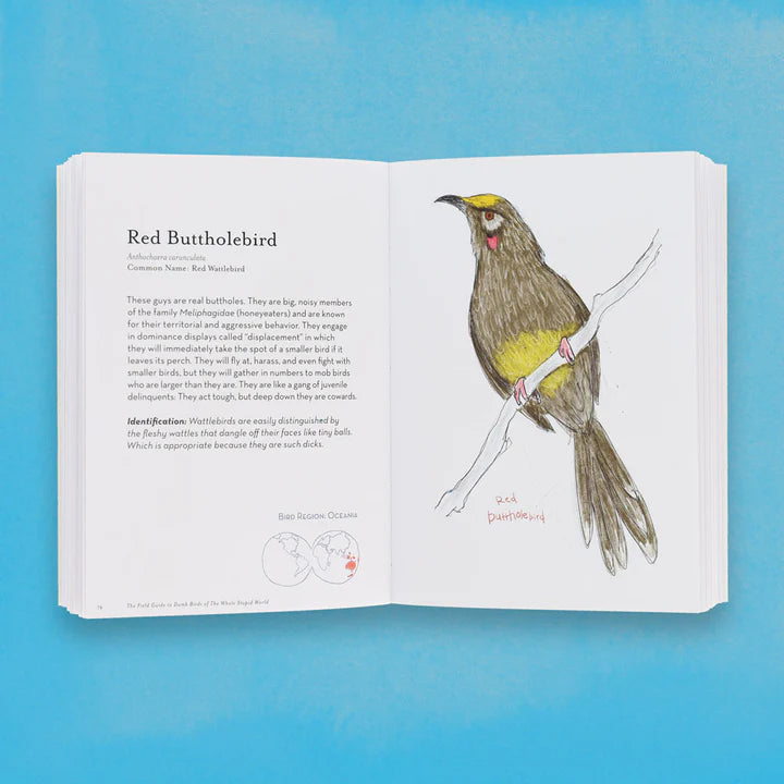 The Field Guide To Dumb Birds Of The Whole Stupid World - Paperback - Matt Kracht - Mellow Monkey