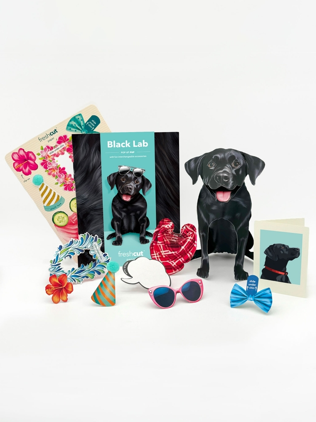 Black Lab - Freshcut Pop-Up Pet Greeting Cards - Mellow Monkey