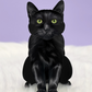 Black Cat - Freshcut Pop-Up Pet Greeting Cards - Mellow Monkey