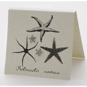 Silver Starfish Stud Earrings - Mellow Monkey