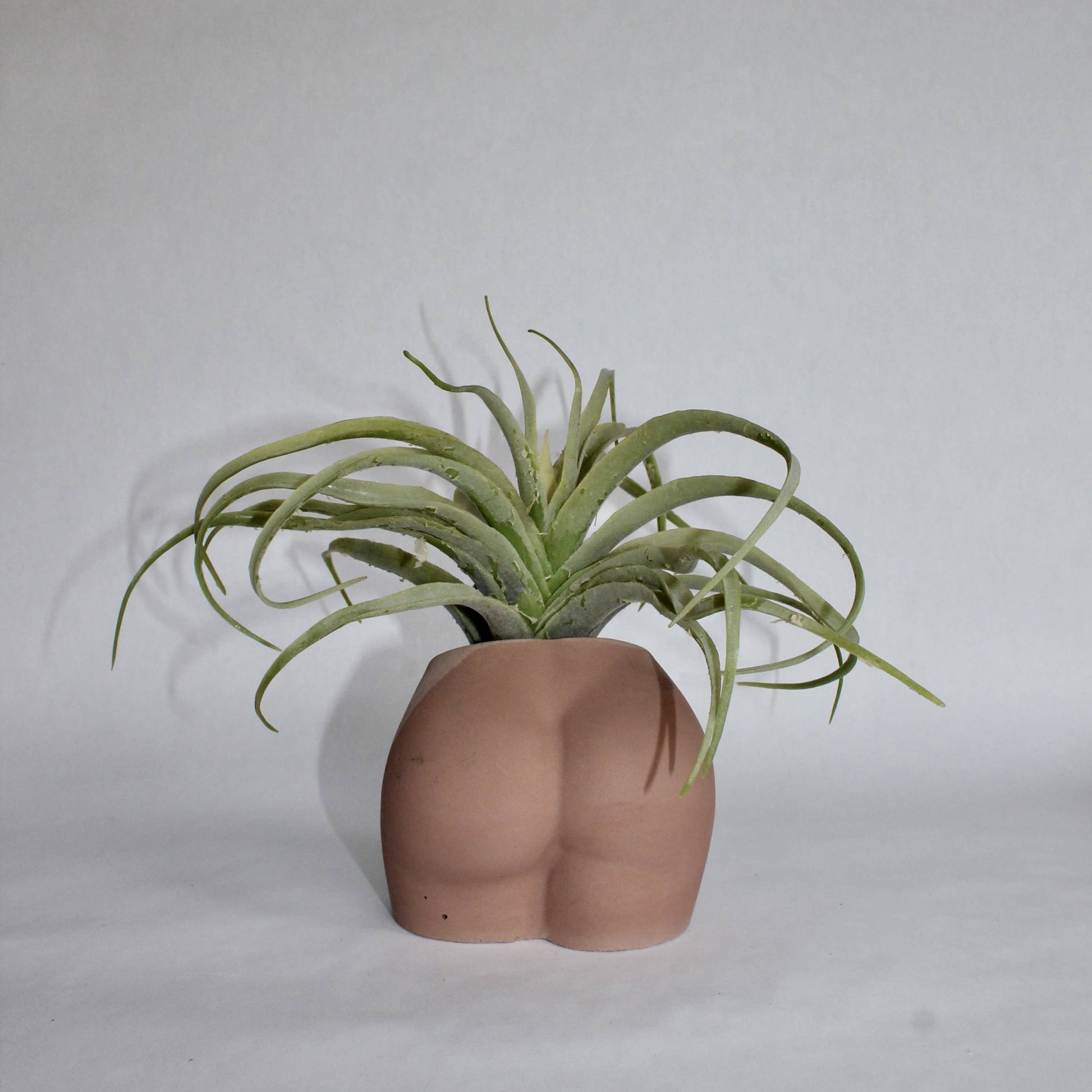 Concrete Booty Vase in Brown - 4-in - Mellow Monkey