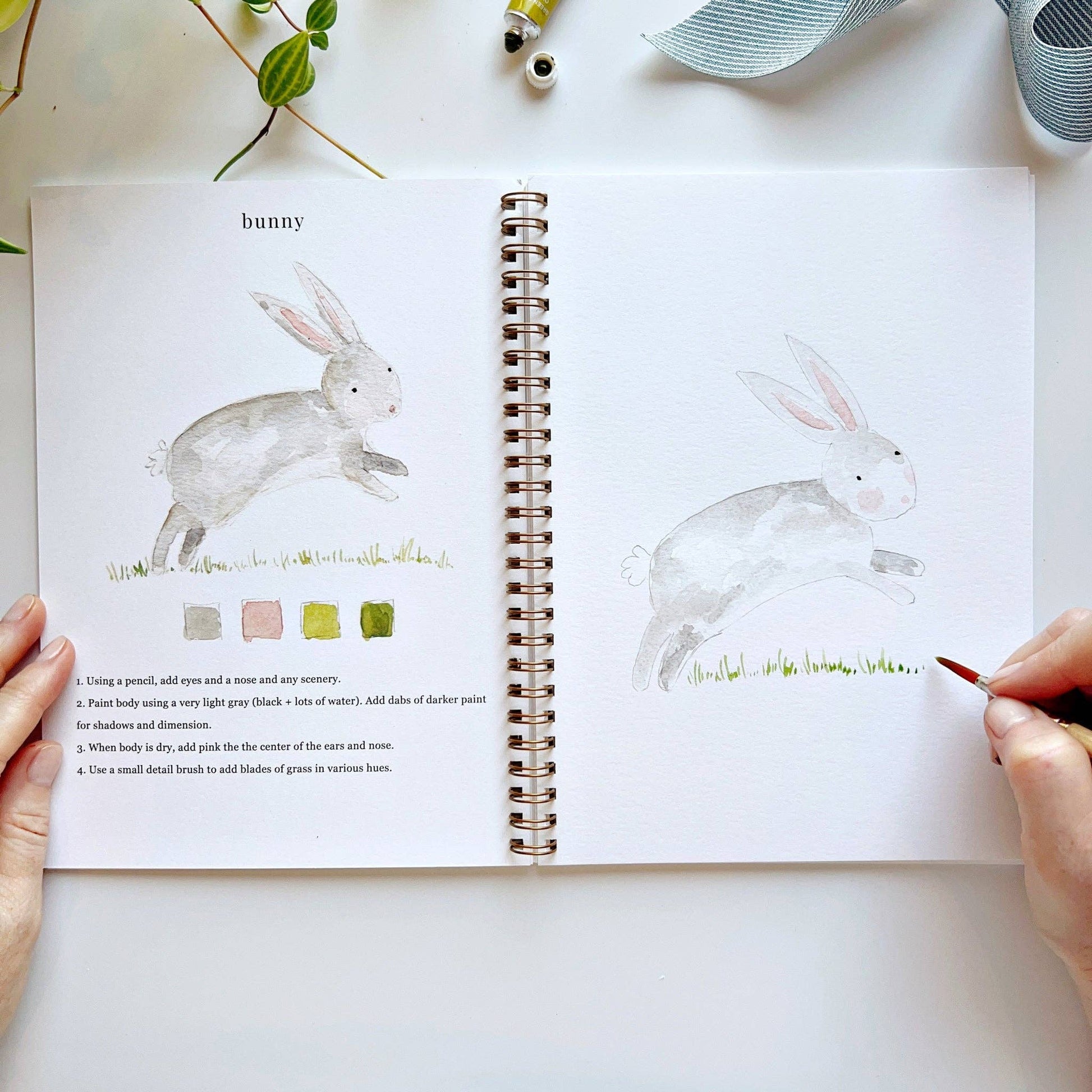 Animals - Watercolor Workbook with Water Color Paint Set and Brush - Mellow Monkey