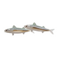 Atlantic Mackerel Metal Wall Décor - Double - 23-in - Mellow Monkey