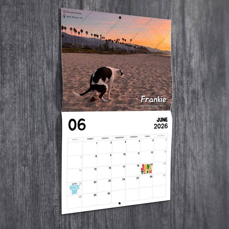 Dogs Pooping in Beautiful Places™ 2026 Calendar - Gag Gift - Mellow Monkey